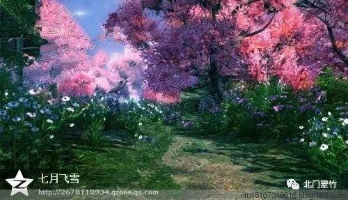 春雨直播app