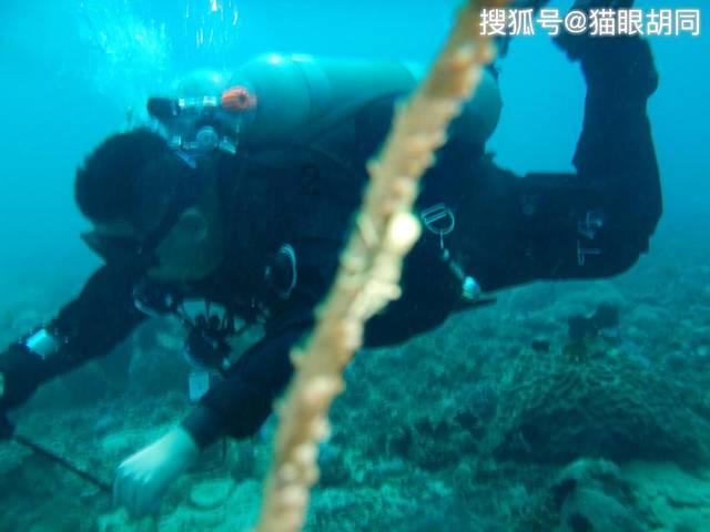 超萌大战