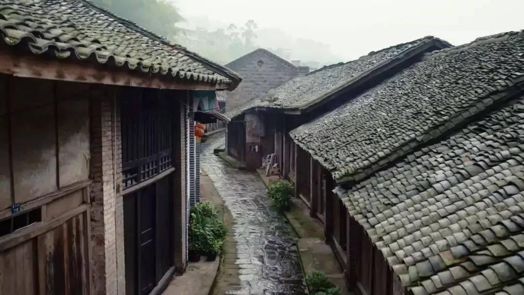 新加坡偶遇张雨绮,她对工作人员说“挡到了”怕路人拍不到她全身